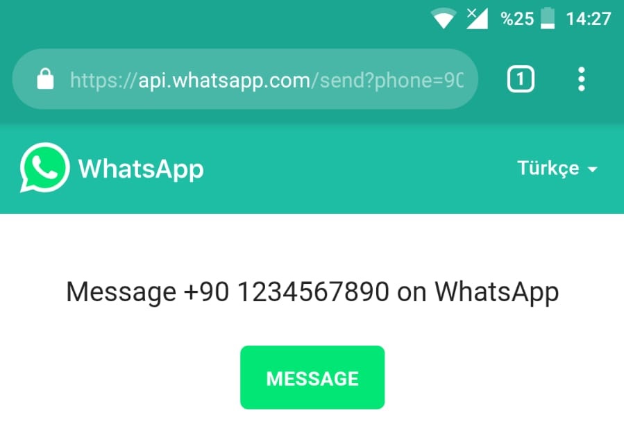 Апи ватсап. Ватсап на английском. WHATSAPP тест. Приветствия на английском WHATSAPP. Https://API. WHATSAPP. Com/send?Phone=79181645569.